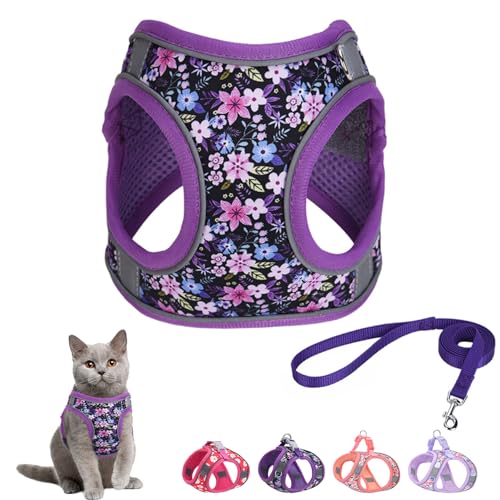 Step in Dog Harness and Leash Set, Flower Adjustable Easy Walk Puppy Harnesses, Soft Mesh Pet Vest Harness Small Size Dog ...