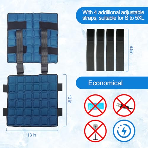 Blobuste Cooling Vest with Ice Packs, Adjustable Reusable Ice Cell Jacket for Men Women, for Outdoor Sports, Work, Hiking