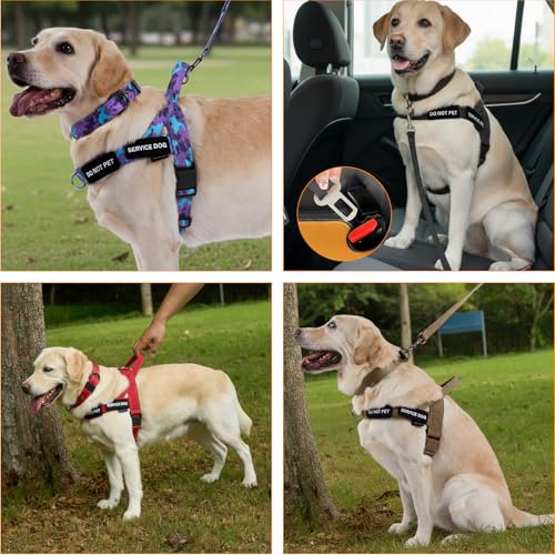Annchwool No Pull Dog Harness,Heavy Duty Reflective Collar & Leash Set-Leash with Double Handle & Car Seatbelt Clip-Easy C...