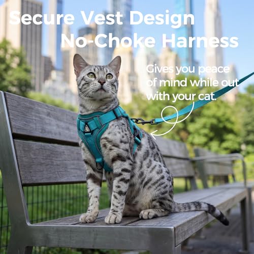 pangdi Cat Harness and Leash Set Escape Proof Tactical Large Kitten Harness Emotional Support Cat Vest, Turquoise, L