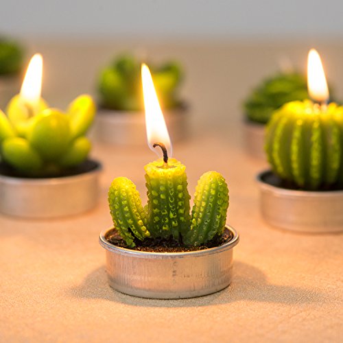 COCOMOON Cactus Tea Light Candles, 6 Pcs Decorative Candles with Artificial Succulents, Unscented, 30 min Burn Time, Moder...