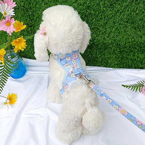 Cat Harness and Leash Set, Sweet Floral Kitten Collar, Escape Proof Small Dog Harness with Organza Ruffles, Cute Blue Dog ...