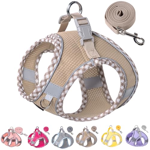 Petank Dog Harness for Small Medium Dogs No Pull, Puppy Harness and Leash Set for Walking, Running, Training, Small Dog Ha...