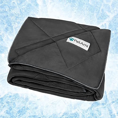 PetAmi Premium Cooling Dog Blanket | Lightweight Fluffy Pet Throw Blanket Bed Cover for Dogs, Cat, Puppies | Pet Blanket F...