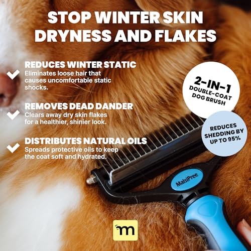 MalsiPree Dog Brush for Shedding - Large, Blue, 2-in-1 - Deshedding Dog Grooming Brush & Undercoat Rake with Dematting Com...