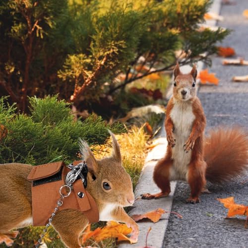 3 Pack Squirrel Harness and Leash Set - Adjustable Soft Leather & Traction Rope Strap Anti-Biting Chainfor Small Pet Walk ...