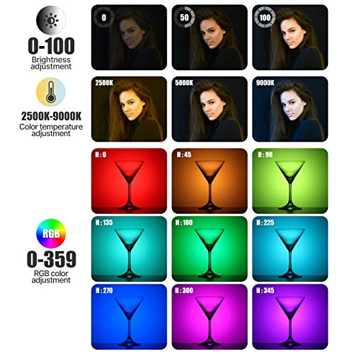 ULANZI VL49 RGB Video Lights, LED Camera Light 360° Full Color Portable Photography Lighting w 3 Cold Shoe, 2000mAh Rechar...