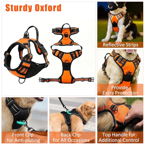 YXFDOYT No Pull Dog Harness Adjustable Collar & Leash Set - Dog Halter Harnesses Collapsible Bowls & Poop Bag Dispenser Mu...