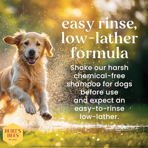 Burt’s Bees for Pets Oatmeal Dog Shampoo with Honey, Soothing Dog Shampoo for Itchy and Sensitive Skin, pH Balanced Formul...