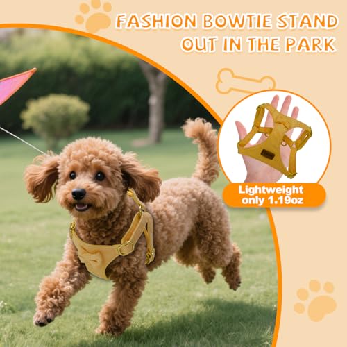 Tewiwap No Pull Small Dog Harness and Leash Set, Adjustable Puppy Harness for Extra Small XS XXS Girl Dogs, Soft Suede No ...