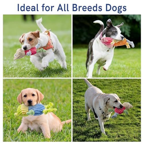 SyChien 3 Pack Squeaky Dog Stuff Set for Small Medium Large Dogs（Pet Use Only）