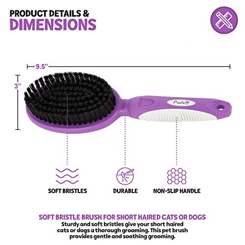 Soft Bristle Dog Brush For Short Haired Cats Or Dogs - Firm Bristles To Remove Dust, Dirt, And Loose Fur - Hook And Rubber...