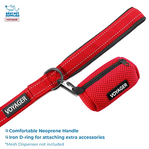 Best Pet Supplies Voyager Step-in Lock Pet Harness w Reflective Pet Leash Combo Set with Neoprene Handle 5ft - Supports Sm...