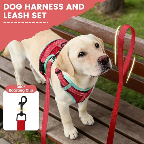 PAWDAY No-Pull Dog Harness with Dog Leash Breathable Mesh Adjustable Soft Padded Pet Vest Reflective for Small/Medium/Larg...