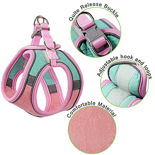 JSXD Cat Harness,Leash and Collar Set,Escape Proof Kitten Vest Harness for Walking,Easy Control Night Safe Pet Harness wit...