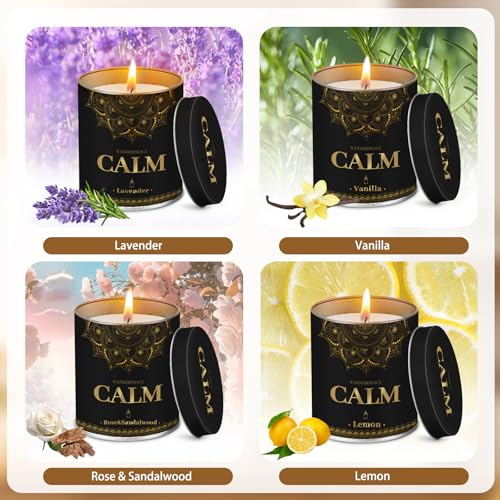 WarmEmbrace Scented Candles, 9 Oz Candle Sets for Home, Office, Meditation, Yoga, Candles for Women & Men, Birthday, Chris...