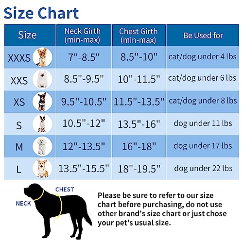 JOYPAWS Summer Soft Dog Harness and Leash Set,Ultra Thin Breathable Diamond Mesh, Step in Adjustable Dog Harness with Padd...