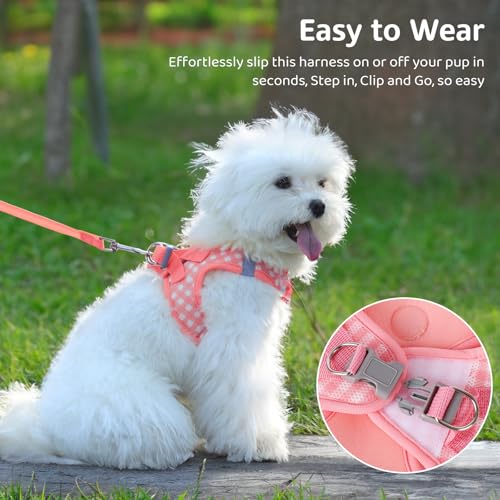 Gyuzh Dog Harness and Leash Set,Soft Mesh Breathable Small Dog Harness,Reflective Adjustable Puppy Harness,No Pull Pet Har...