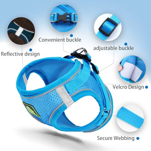 Jolifield Step in Dog Harness with Leash Set, Adjustable Soft Padded and Breathable Mesh for Small Sized Dog, Reflective N...