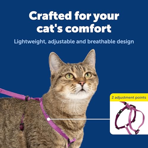 PetSafe Come With Me Kitty Cat Harness & Bungee Leash - Comfortable Cat Harness with Lightweight Bungee Leash for Outdoor ...