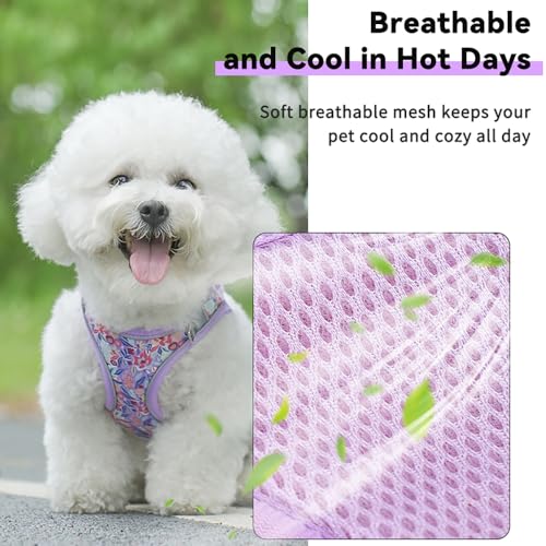 Step in Dog Harness and Leash Set, Flower Adjustable Easy Walk Puppy Harnesses, Soft Mesh Pet Vest Harness Small Size Dog ...
