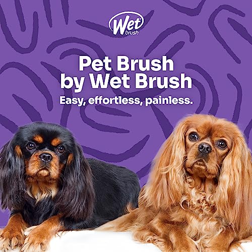 Wet Brush Ultimate Dual-Sided Detangling Brush - Ultra Soft IntelliFlex Bristles, Removes Loose Hair & Dirt for Dogs, Cat...
