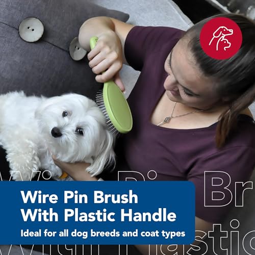 Coastal Pet Safari Wire Pin Brush - No-Slip Plastic Handle for Short and Long Pet Hair - 9.25" x 2.5" Compatible Grooming ...