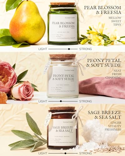 3 Pack Non-Toxic Soy Wax Scented Candles Gift Set for Women, 21.15oz Wooden Wick Candle for Home, 135H Long Burn Time, Aro...