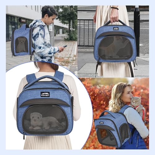 Small Pet Carrier, Breathable Collapsible Pet Bag with Safety Leash for Small Puppy, Kitten, Guinea Pig Weighing up to 8 P...