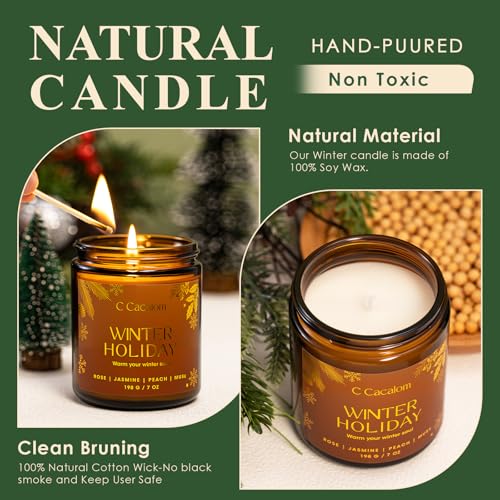 Winter Scented Candles, Holiday Candles for Home, Aromatherapy Soy Candles Gifts Set for Women Men, Vanilla/Fir/Apple Cide...