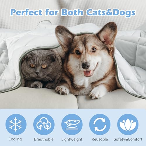ZINGTERRA Dog Cooling Mat, Cat Self Cool Ice Pads,Lightweight Pet Pad Blanket Bed Cover,Puppies Summer Cool Tech Fabric,Wa...