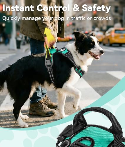Joytale No Pull Dog Harness Medium Sized Dog, Reflective Pet Vest with Front Clip, Adjustable Soft Padded Harnesses with E...
