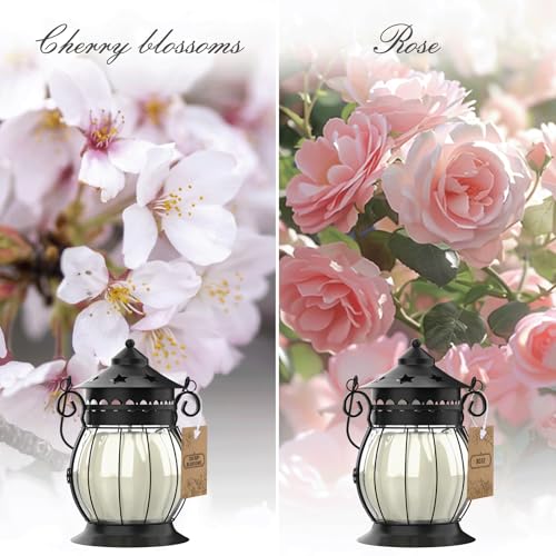 Scented Candles Gifts Set for Women, 2X 6 oz Aromatherapy Jar Candles for Home, Rosa & Cherry Blossom Soy Wax Long Lasting...