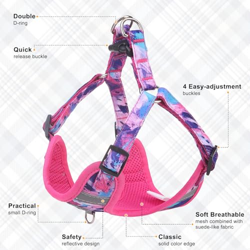 BEAUTYZOO Dog Harness Collar and Leash Set, No-Pull Step in Dog Harness for Large Dogs, Reflective No-Choke Puppy Vest Har...