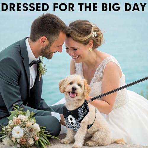 BINGPET Dog Tuxedo Harness for Small Medium Dogs, No Pull Dog Harness and Leash Set,Soft Padded Mesh Step-in Dog Vest Tux ...