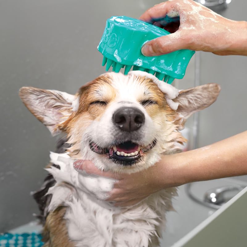 KONG ZoomGroom Bubbles Dog Brush - Soap Dispensing, Massaging and Gooming Brush for Dogs, Removes Shedding Hair - Works on...