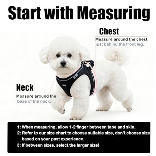 Dog Harness and Leash Set, No Pull Soft Mesh Pet Harness -in Puppy Pet Vest Harnesses for XS,Small,Medium Dogs and Cats Bl...