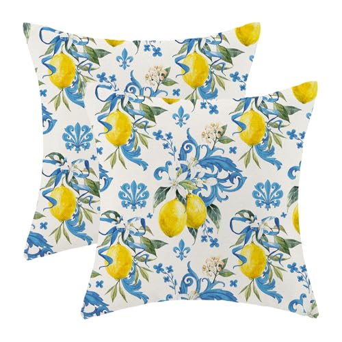 Summer Pillow Covers 18x18 Inch Set of 2 Boho Blue Yellow Lemon Floral Throw Pillows Outdoor Decorative Seasonal Spring Su...