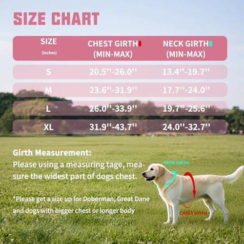 AUROTH Dog Harness and Leash Set, Soft Padded Service Dog Vest with 5.25FT Dog Leash, No Choke, Easy On Pet Vest, Adjustab...
