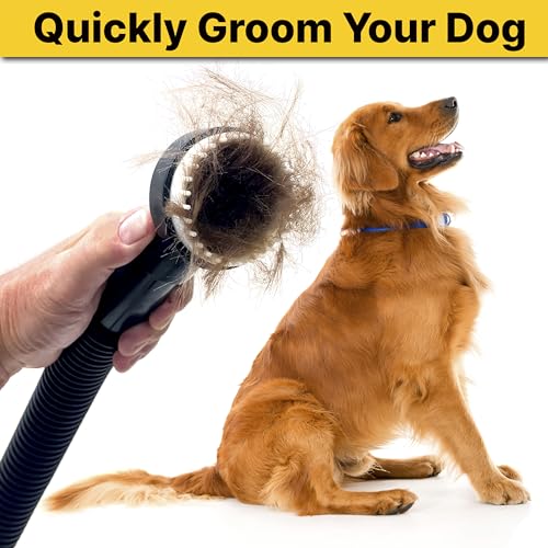 Shop-Vac 9190400 Dog Grooming Tool, 1.25 Inch Diameter, Soft Bristles for Gentle Pet Grooming and Vacuuming, (1-Pack)