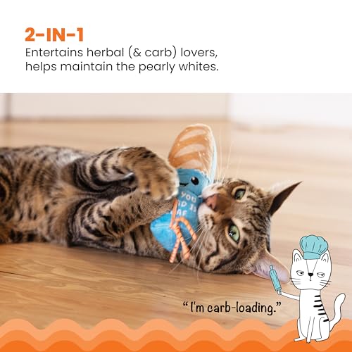 Catstages Loaf Kicker Toy with Catnip and Dental Mesh, Bread Shape, Plush and Ribbon Cat Toy for Kicking, Tossing, and Tee...