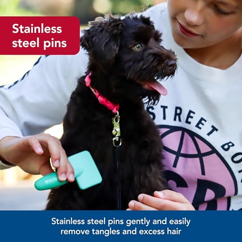 Coastal Pet Li'l Pals Dog Slicker Brush with Coated Tips - Dog Grooming Brush for Small Breeds & Puppies - One Size (3.25”...