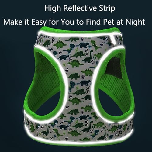 XS Dog Harness and Leash Set, Step in Dog Harness No Pull for Walking Running Training, Puppy Essentials for Dogs Cat Bunn...