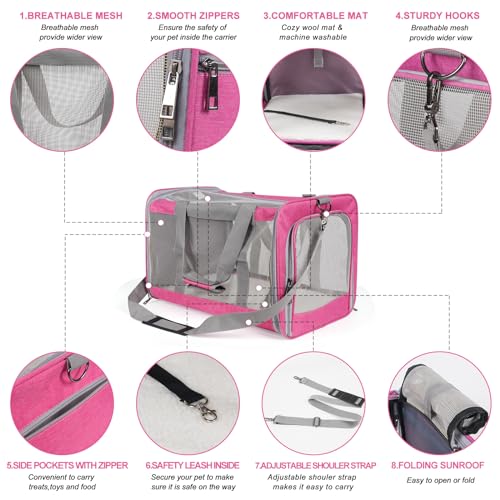 TIYOLAT Pet Carrier for Large Cats of 20 Lbs, Collapsible Carrier Bag for Big Cat or 2 Kittens,Soft Sided Puppy Carrier wi...