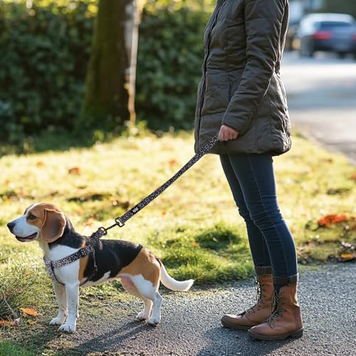 QQPETS Dog Harness Leash Set Adjustable Heavy Duty No Pull Halter Harnesses for Small Medium Large Breed Dogs Back Clip An...