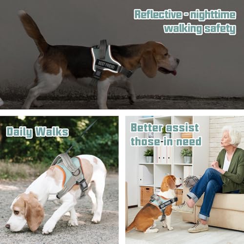 AUROTH Dog Harness and Leash Set, Soft Padded Service Dog Vest with 5.25FT Dog Leash, No Choke, Easy On Pet Vest, Adjustab...