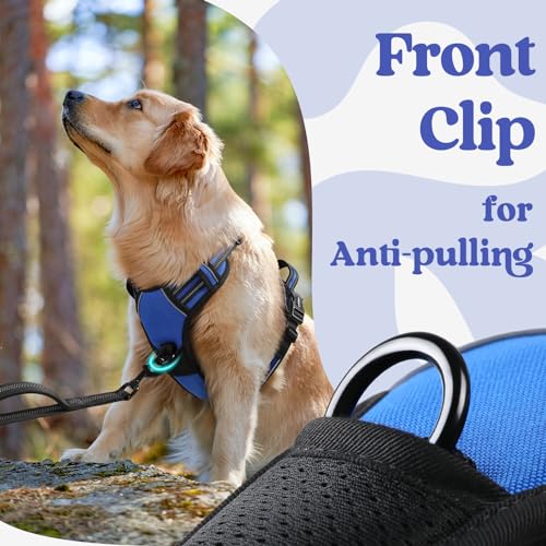 rabbitgoo Dog Harness for Large, No Pull Pet Harness with 3 Buckles, Adjustable Soft Padded Vest with Control Handle, Walk...