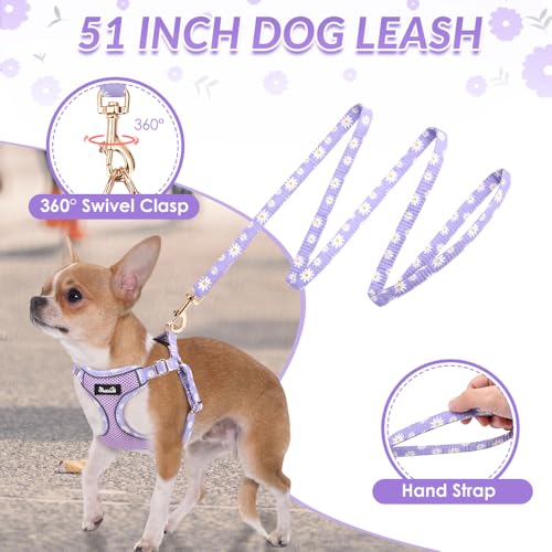Lukovee No Pull Puppy Harness and Leash Set - Soft Lightweight Escape Proof Puppy Vest Harness, Breathable Adjustable Pet ...