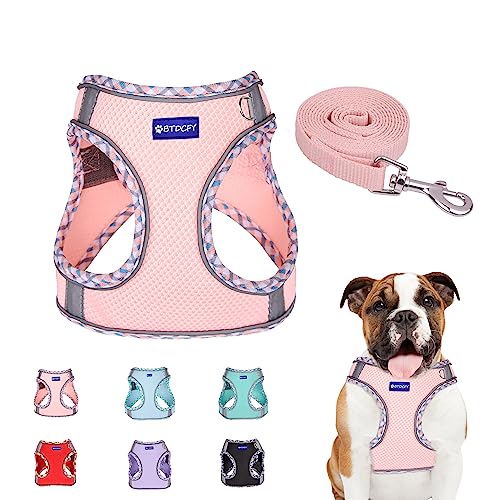 BTDCFY Step in Mesh Dog Harness and Leash Set - Breathable Air Mesh Reflective Escape Proof Vest - No Choke, Lightweight