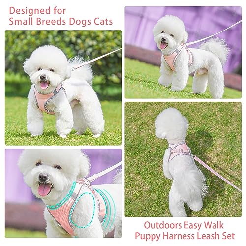 PETPUBGNZS Cute Plaid No Pull Dog Harness for Small Dogs Soft Mesh Small Dog Harness and Leash Set Easy Walk Step in Puppy...